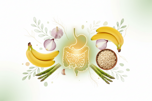 Prebiotics for Better Gut Health